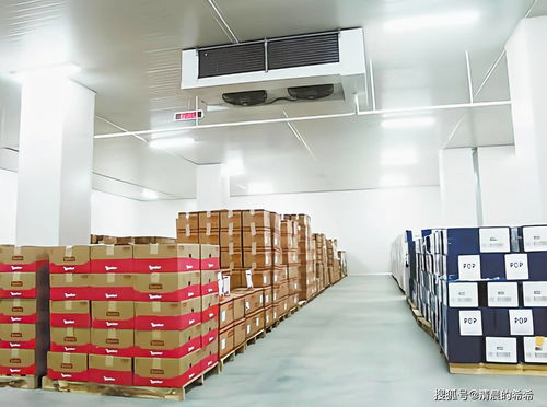 百合在冷库保鲜库中的储藏方法及大型活动组织策划服务要点