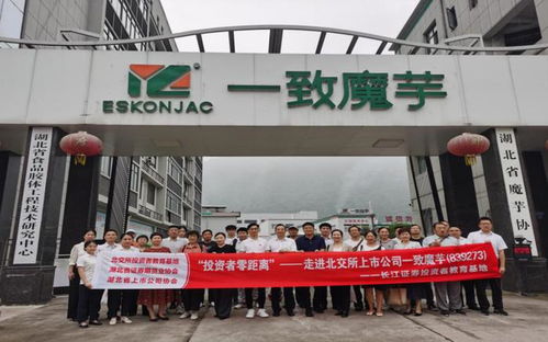 北交所投资者服务湖北站活动探访一致魔芋，推动上市公司与投资者深度互动