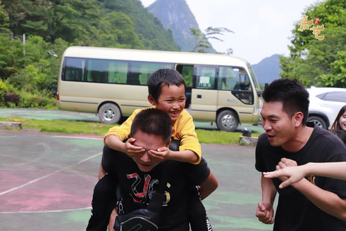 广州市番禺区嘉艺职业培训学校 以专业之力赋能大型社区服务与活动组织策划